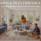 Rugs Living Room Washable Non-Slip