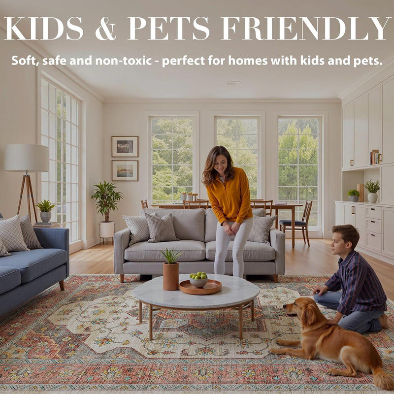 Rugs Living Room Washable Non-Slip