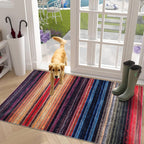 Rugs for Living Room Washable Rug Area Non-Slip Carpet