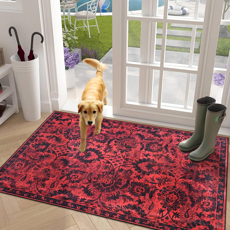 Rugs for Living Room Washable Rug Area Non-Slip Carpet