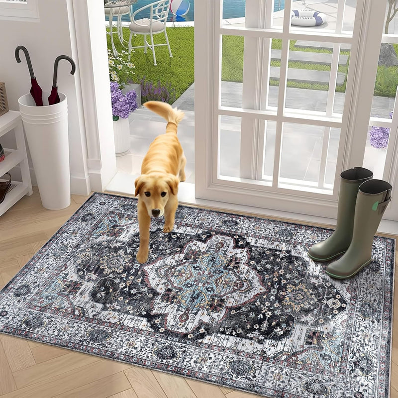 Rugs for Living Room Washable Rug Area Non-Slip Carpet
