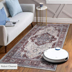 Rugs for Living Room Washable Rug Area Non-Slip Carpet
