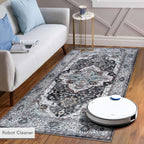Rugs for Living Room Washable Rug Area Non-Slip Carpet