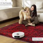 Rugs Living Room Washable Rug Area Non-Slip Carpet