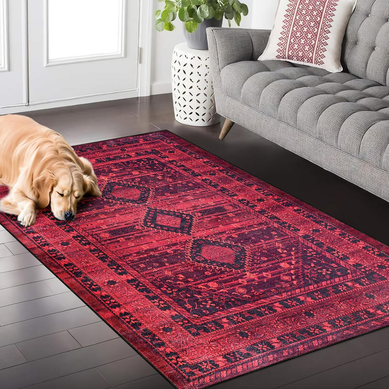 Rugs for Living Room Washable Rug Area Non-Slip Carpet