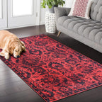 Rugs for Living Room Washable Rug Area Non-Slip Carpet