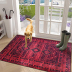 Rugs for Living Room Washable Rug Area Non-Slip Carpet