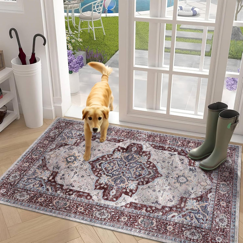 Rugs for Living Room Washable Rug Area Non-Slip Carpet