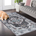 Rugs for Living Room Washable Rug Area Non-Slip Carpet