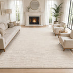 Rugs Living Room Washable Soft Fluffy Area