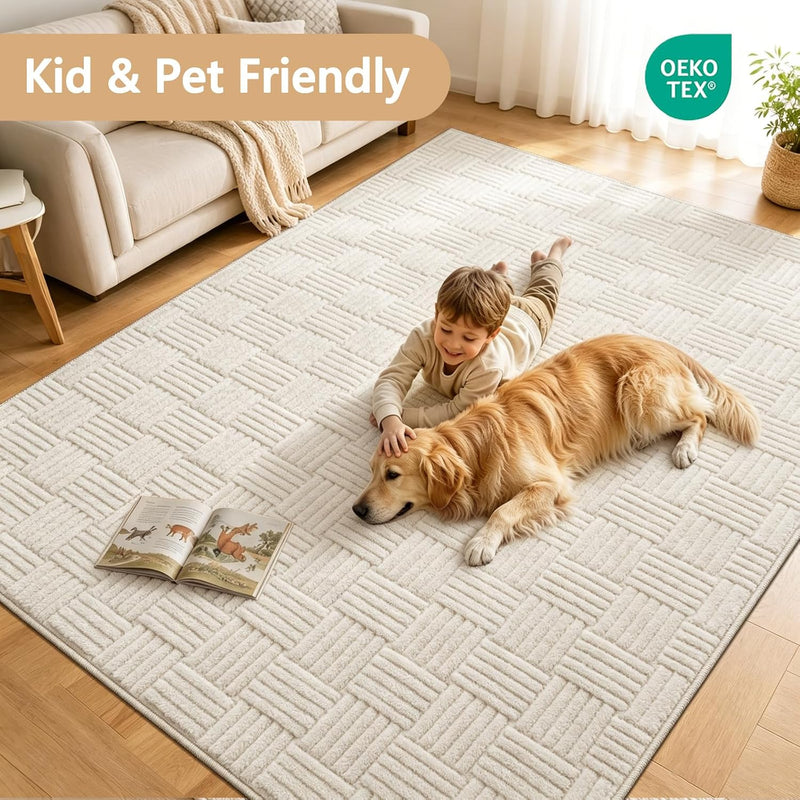 Rugs Living Room Washable Soft Fluffy Area