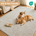 Rugs Living Room Washable Soft Fluffy Area