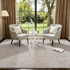 Rugs Living Room Washable Soft Fluffy Area