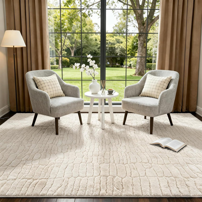 Rugs Living Room Washable Soft Fluffy Area