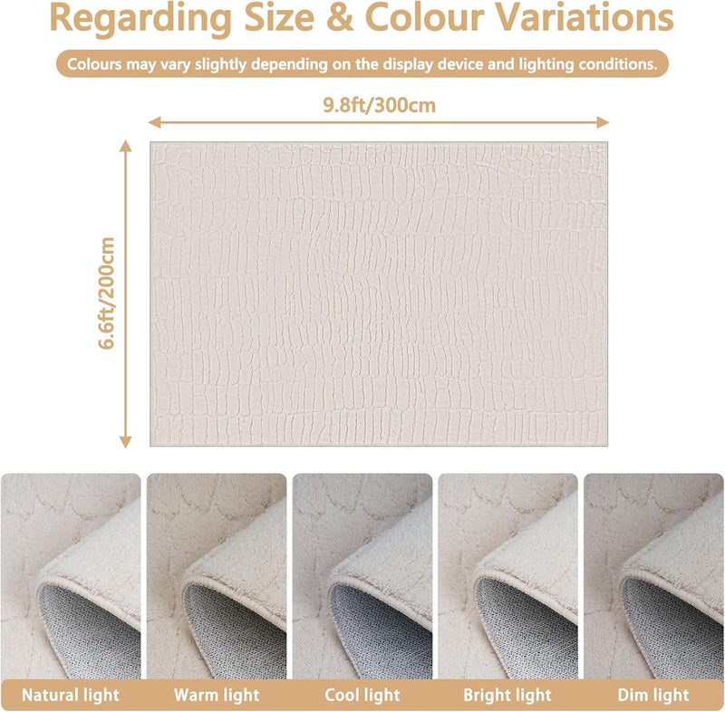 Rugs Living Room Washable Soft Fluffy Area