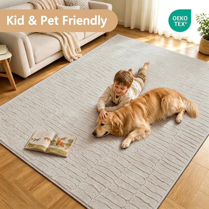 Rugs Living Room Washable Soft Fluffy Area