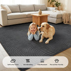 Rugs Living Room Washable Soft Touch