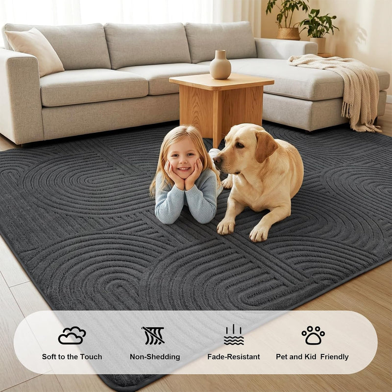 Rugs Living Room Washable Soft Touch