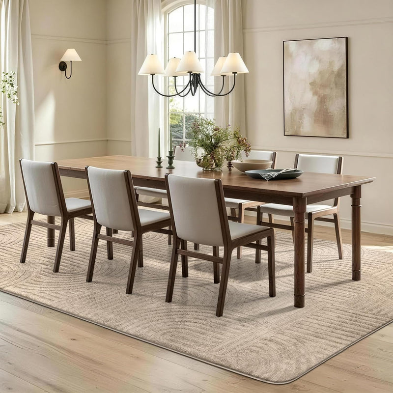 Rugs Living Room Washable Soft Touch