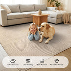 Rugs Living Room Washable Soft Touch