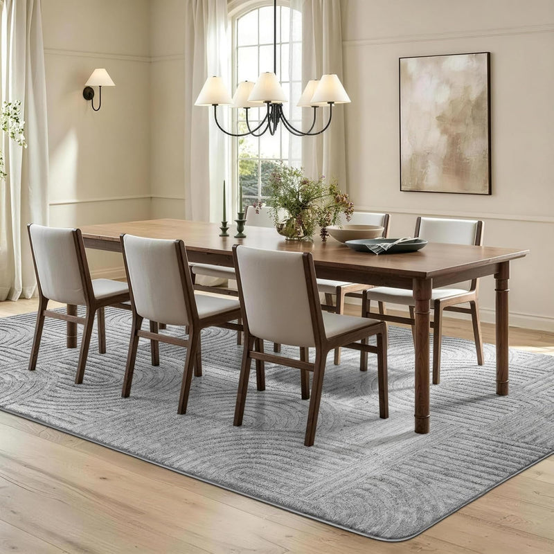 Rugs Living Room Washable Soft Touch