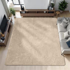 Beige Curve