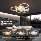 Ruyi Ceiling Lights Living Room 72W 80CM LED