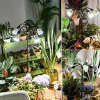 Grow Lights for Indoor Plants 120W 4-Head Full