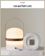 Scandinavian LED Light with Handle for Living Room