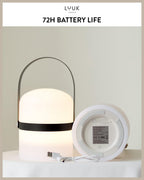 Scandinavian LED Light with Handle for Living Room