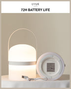 Scandinavian LED Light with Handle for Living Room