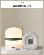 Scandinavian LED Light with Handle for Living Room