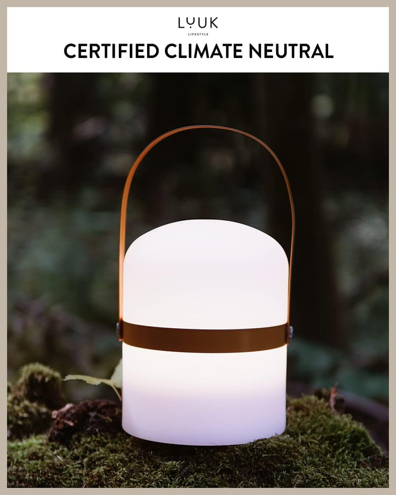 Scandinavian LED Light with Handle for Living Room