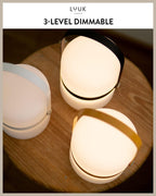 Scandinavian LED Light with Handle for Living Room