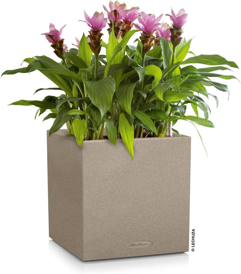 Self Watering Plant Pot Canto Stone 40 Low (1 Pack)