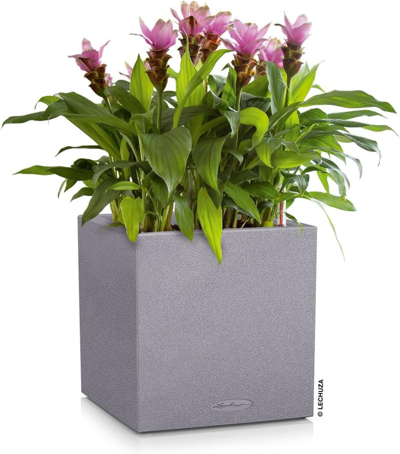 Self Watering Plant Pot Canto Stone 40 Low (1 Pack)