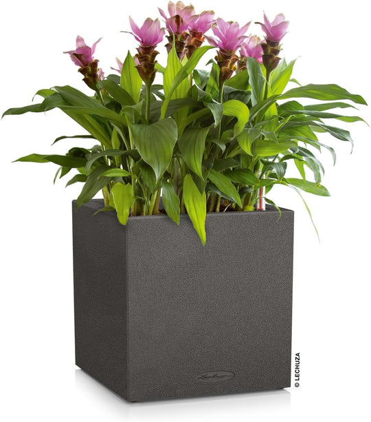 Self Watering Plant Pot Canto Stone 40 Low