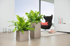 Self Watering Plant Pot Canto Stone 40 Low