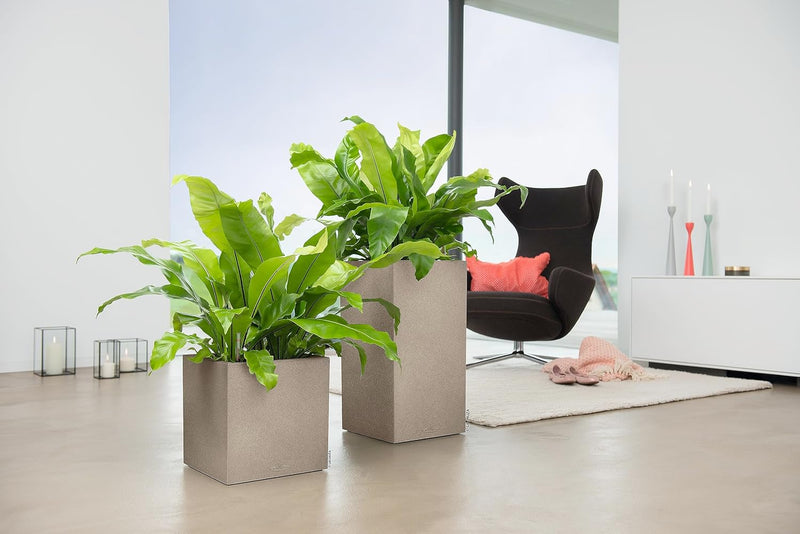 Self Watering Plant Pot Canto Stone 40 Low (1 Pack)