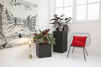 Self Watering Plant Pot Canto Stone 40 Low