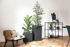 Self Watering Plant Pot Canto Stone 40 Low
