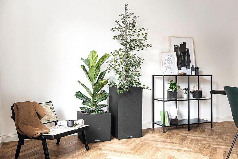 Self Watering Plant Pot Canto Stone 40 Low (1 Pack)