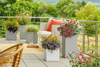 Self Watering Plant Pot Canto Stone 40 Low