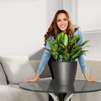 Self Watering Plant Pot Classico 35 Ls Garden