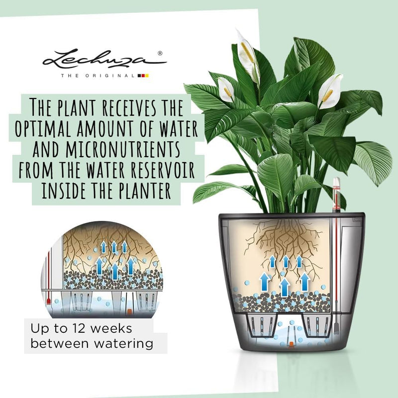 Self Watering Plant Pot Classico 35 Ls Garden
