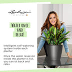 Self Watering Plant Pot Classico 35 Ls Garden