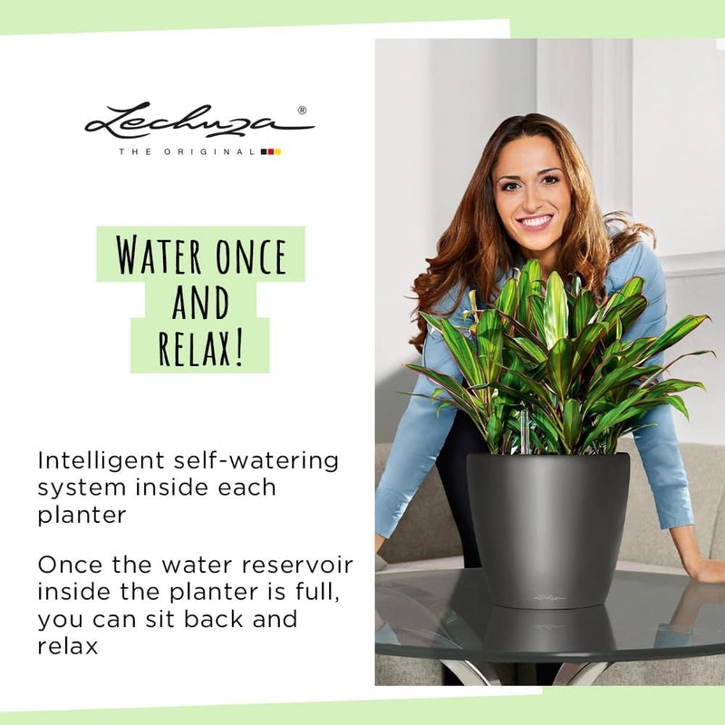 Self Watering Plant Pot Classico 35 Ls Garden