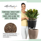 Self Watering Plant Pot Classico 35 Ls Garden
