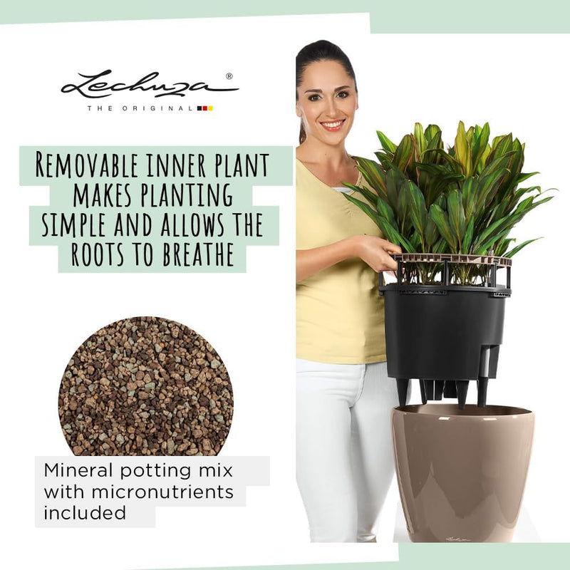 Self Watering Plant Pot Classico 35 Ls Garden (1 Pack)