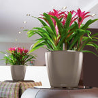Self Watering Plant Pot Classico 35 Ls Garden